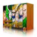 DRAGON BALL Z - Caixa Surpresa Personalizada